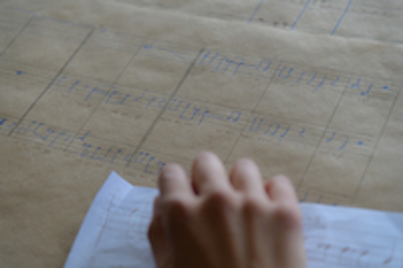 Orange House Residency: Roslyn Orlando