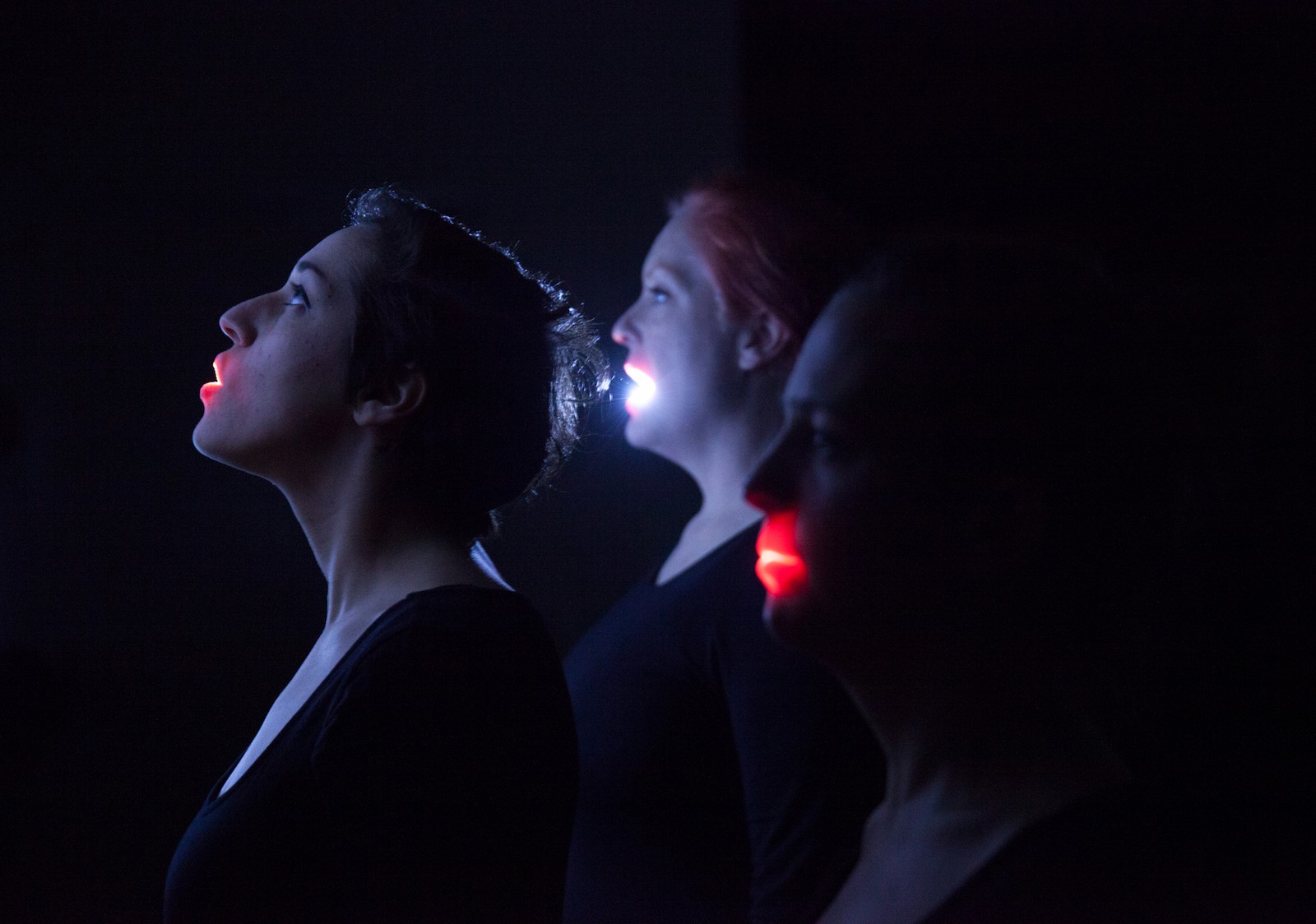 The Perfect Human (Gallery)