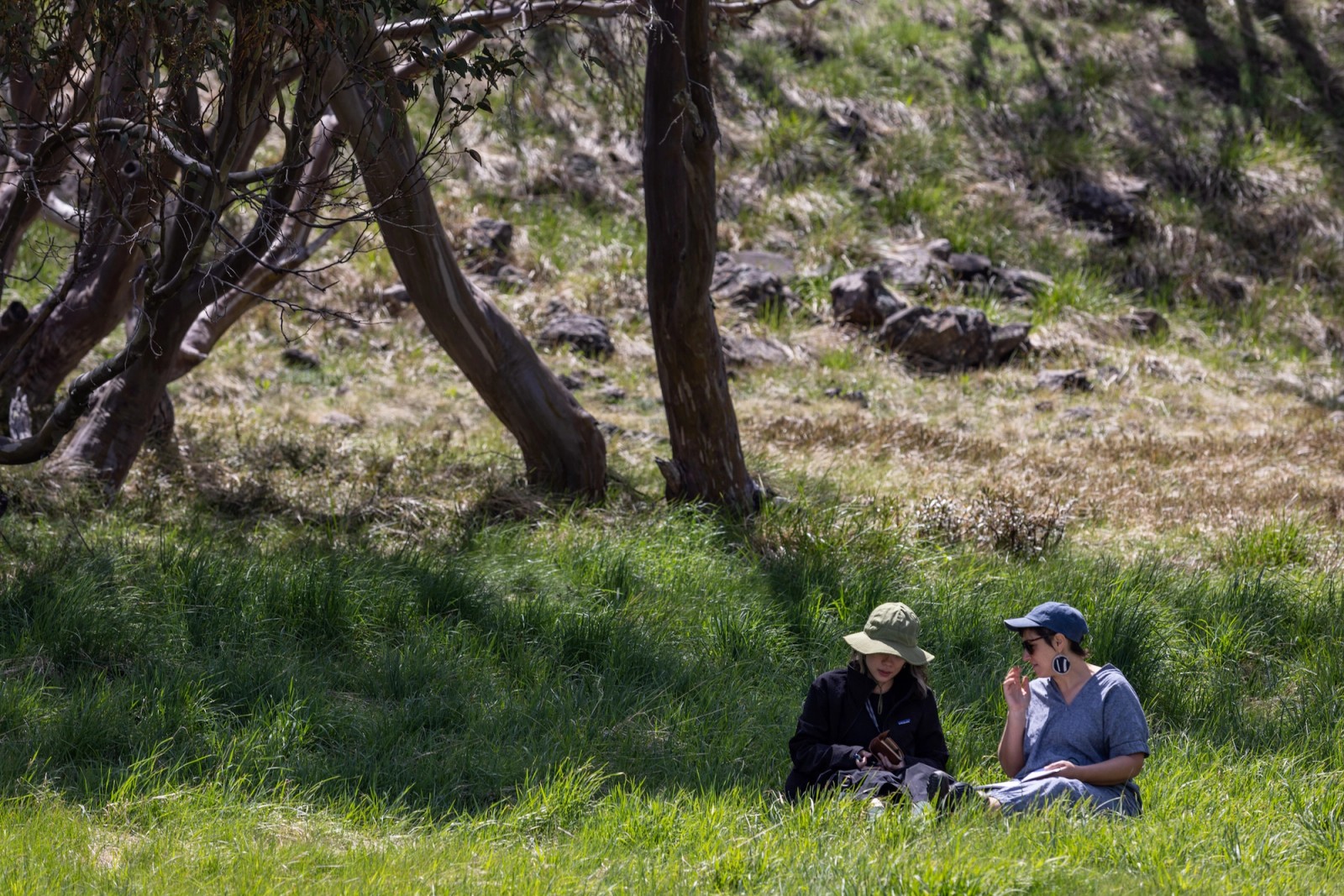 Hi-Viz Satellites LAB 2024 (Gallery)