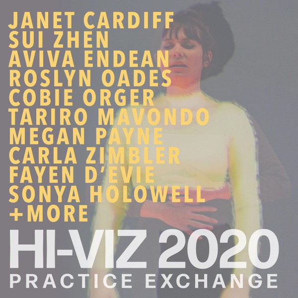 Hi-Viz Practice Exchange 2020