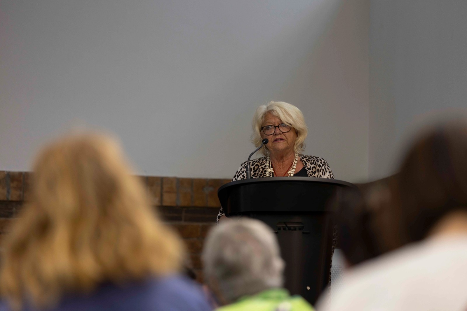 Hi-Viz Satellites 2023 (Gallery)