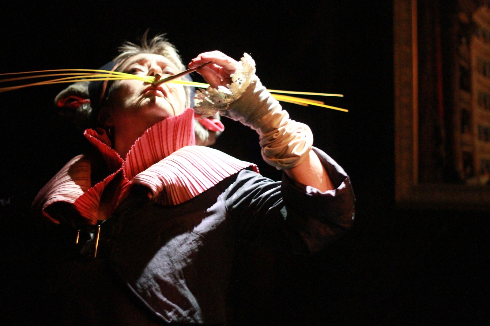 Opera for a Small Mammal (Gallery)