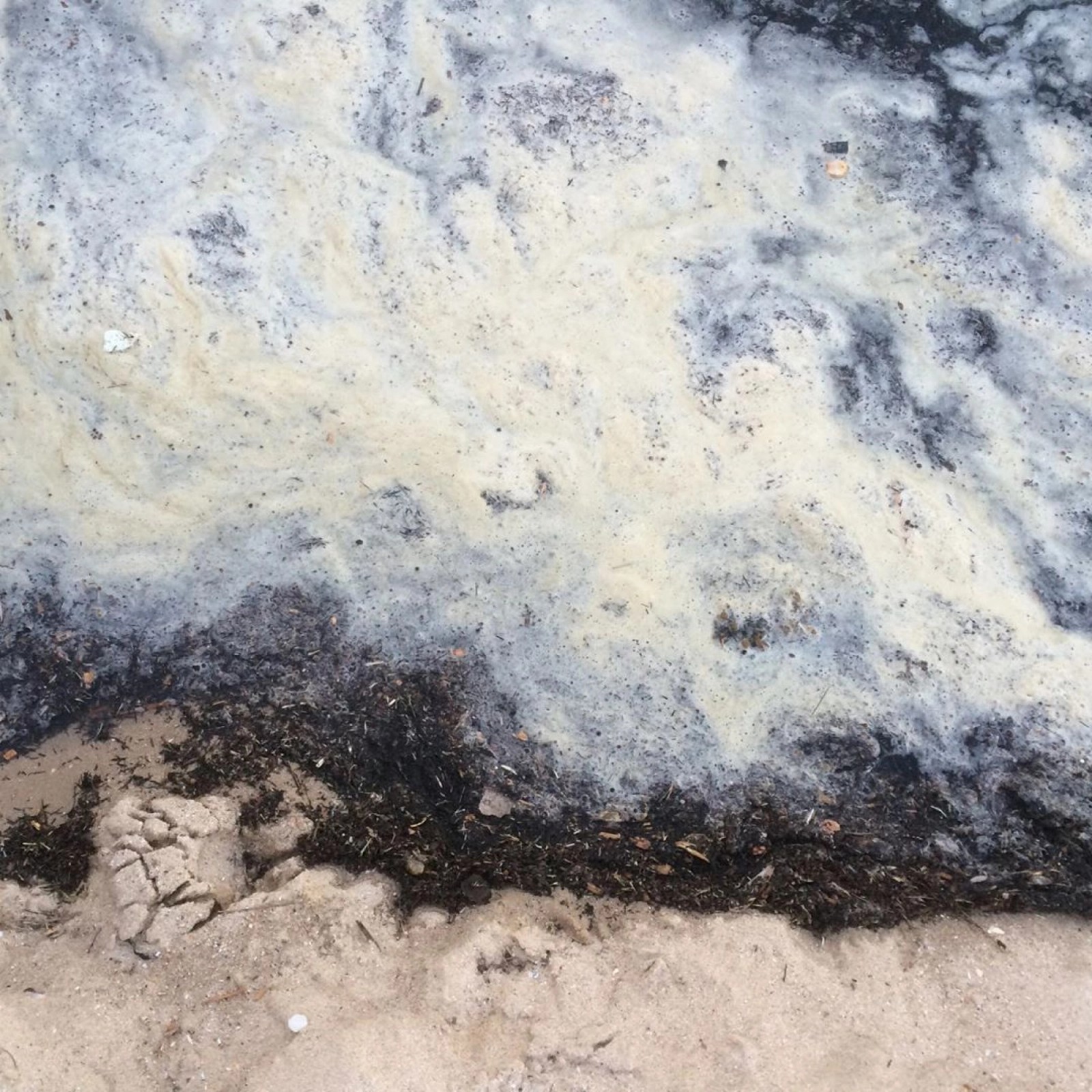 Close up of sand, seaweed and sea from Orange House Resident Thembi Soddell