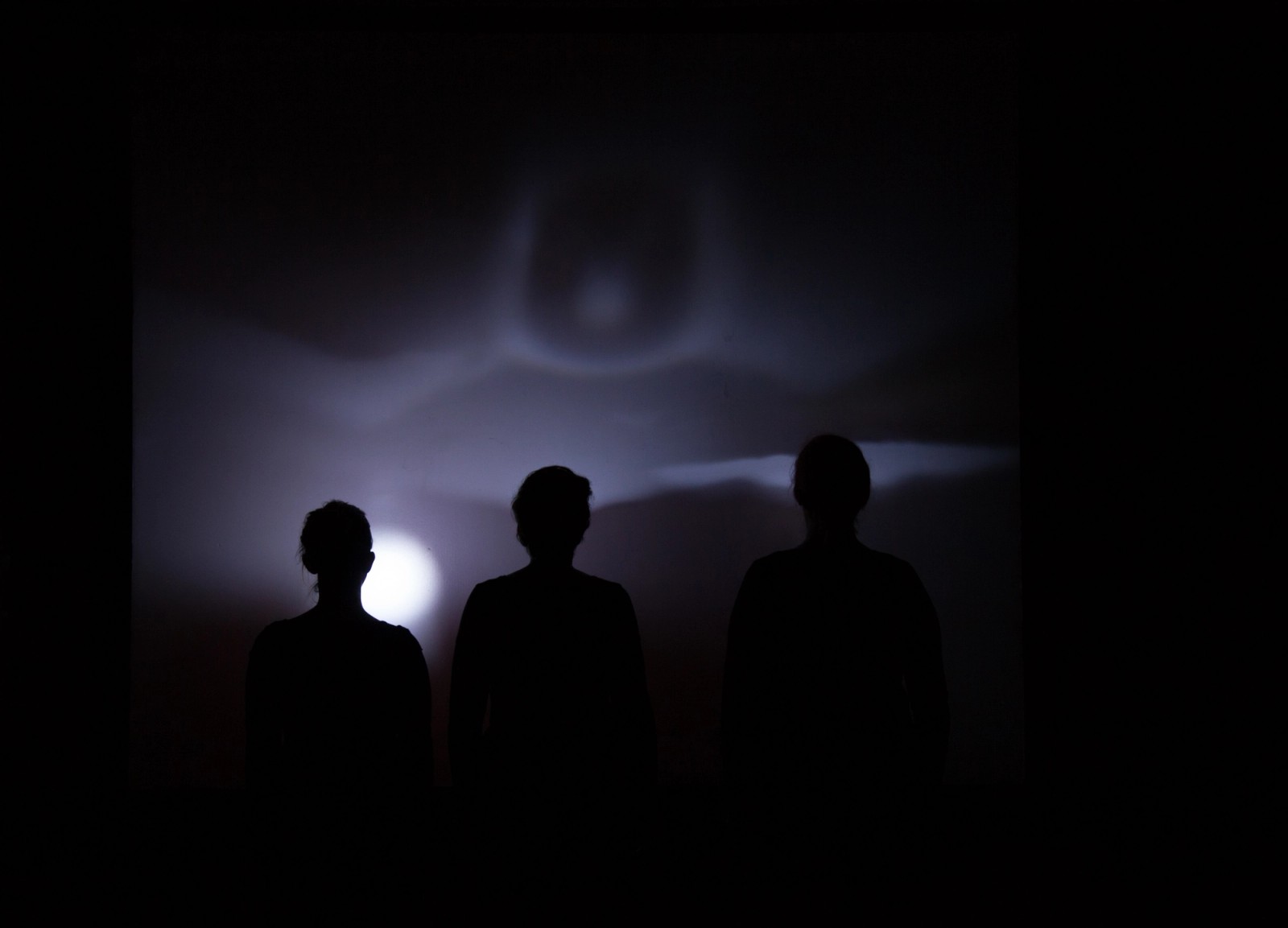 The Perfect Human (Gallery)