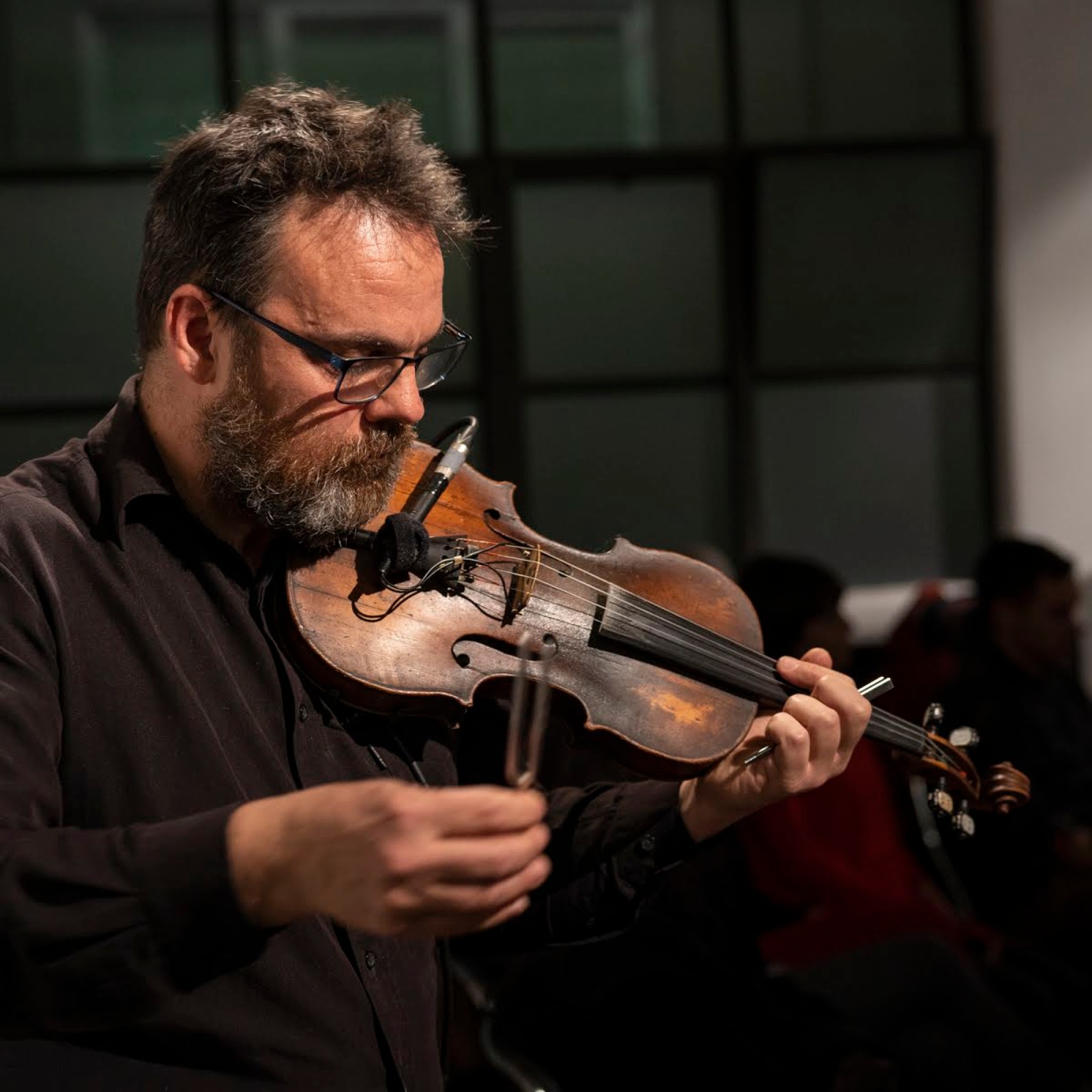 Little Operations: The Letter String Quartet, All That You Hear is All That is Heard