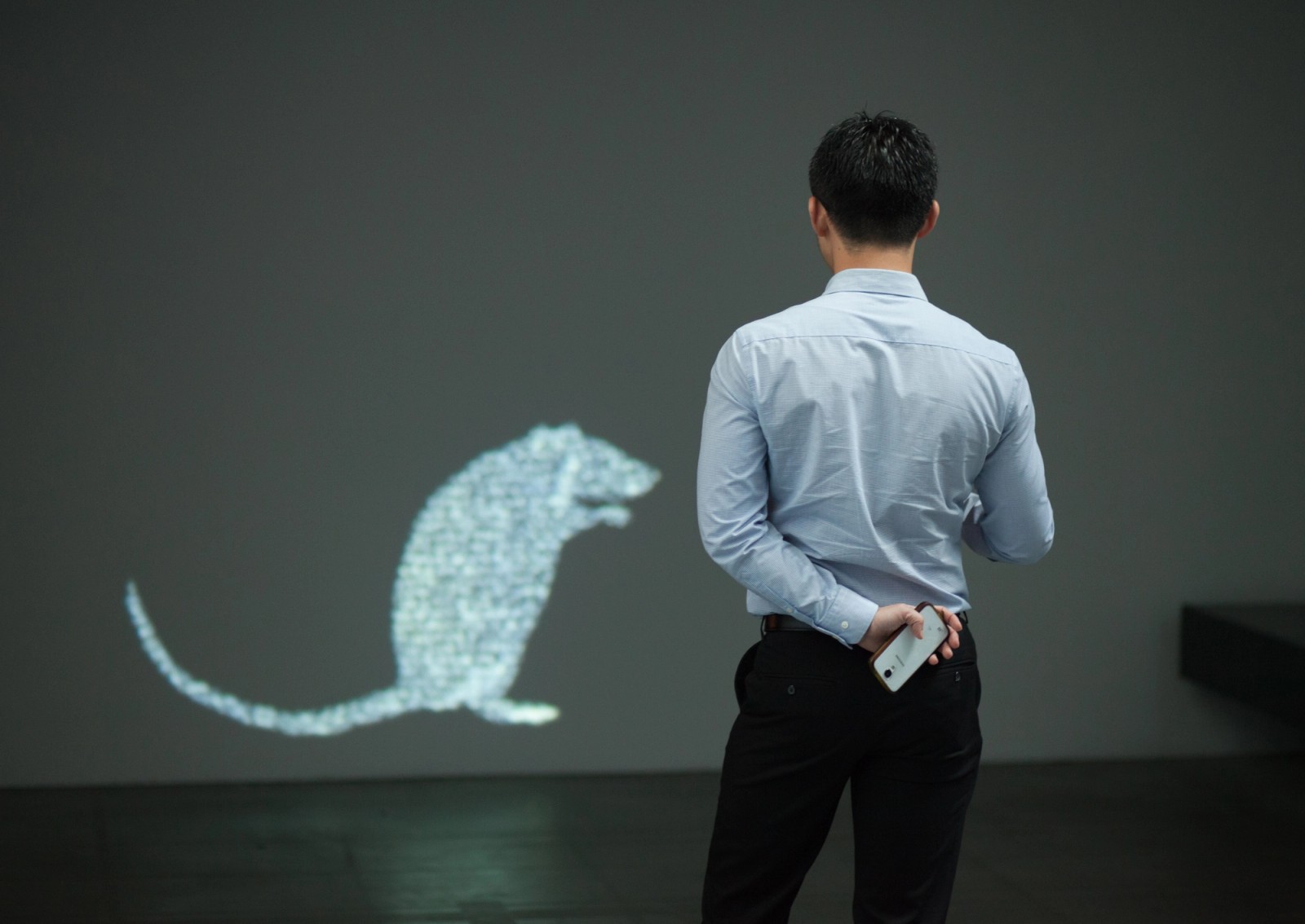 Agile Chambers (Gallery) 