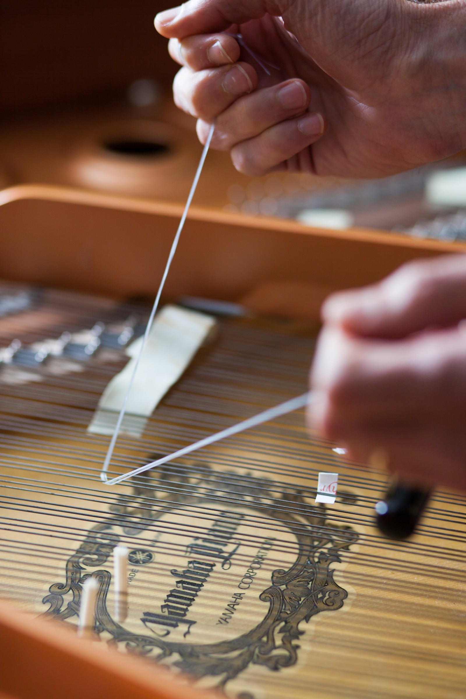 The Lost Art of Listening (Gallery)