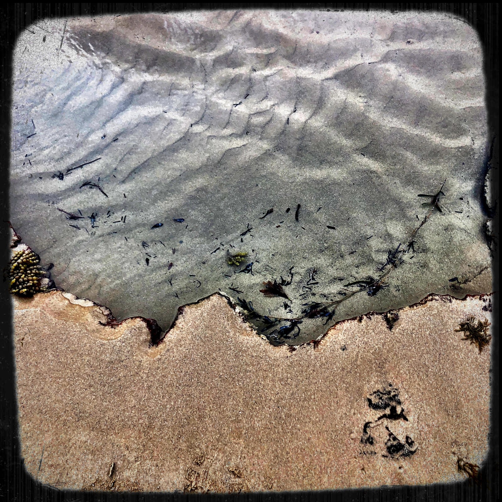 Close image of sand bordering sea from Orange House Resident Biddy Connor
