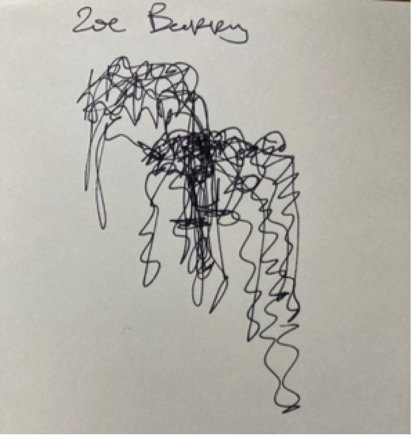 Hi-Viz 2022: I am, I am a sound by Kate Hunter