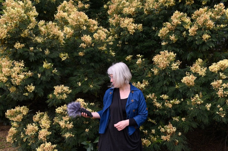 Orange House Residency