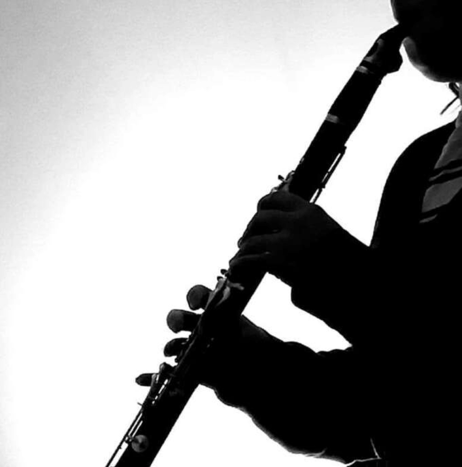 Image of Marlene Radice in profile playing a clarinet