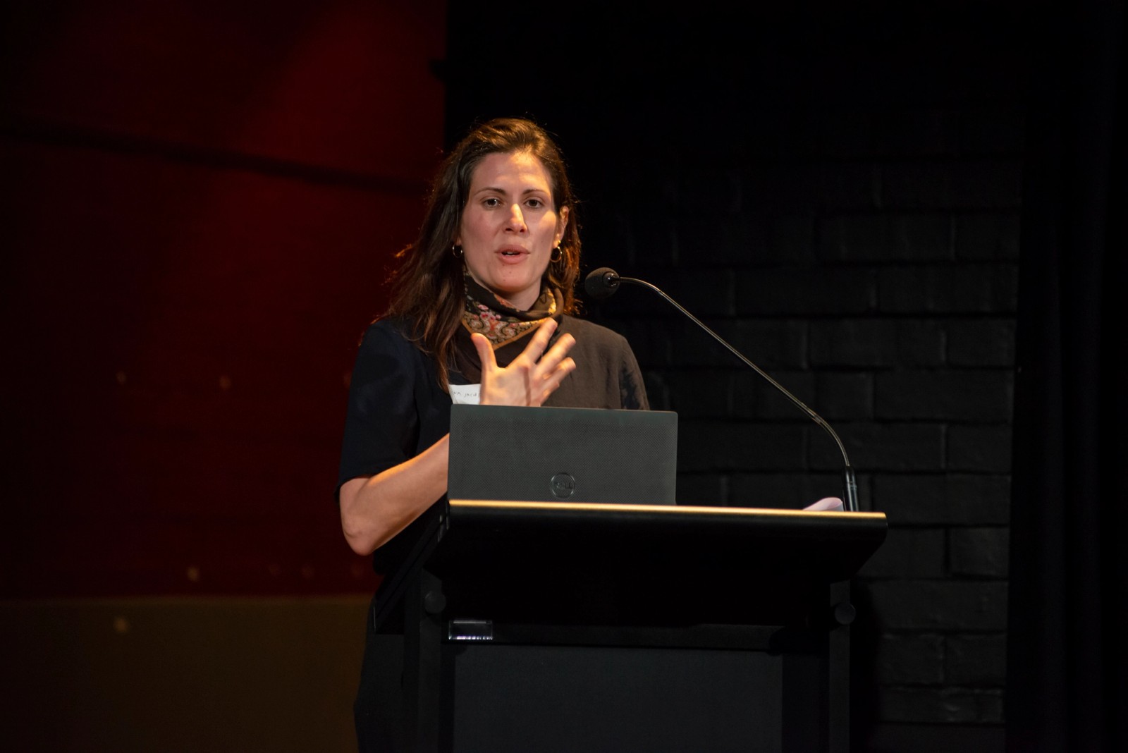 Hi-Viz Satellites 2022 (Gallery)