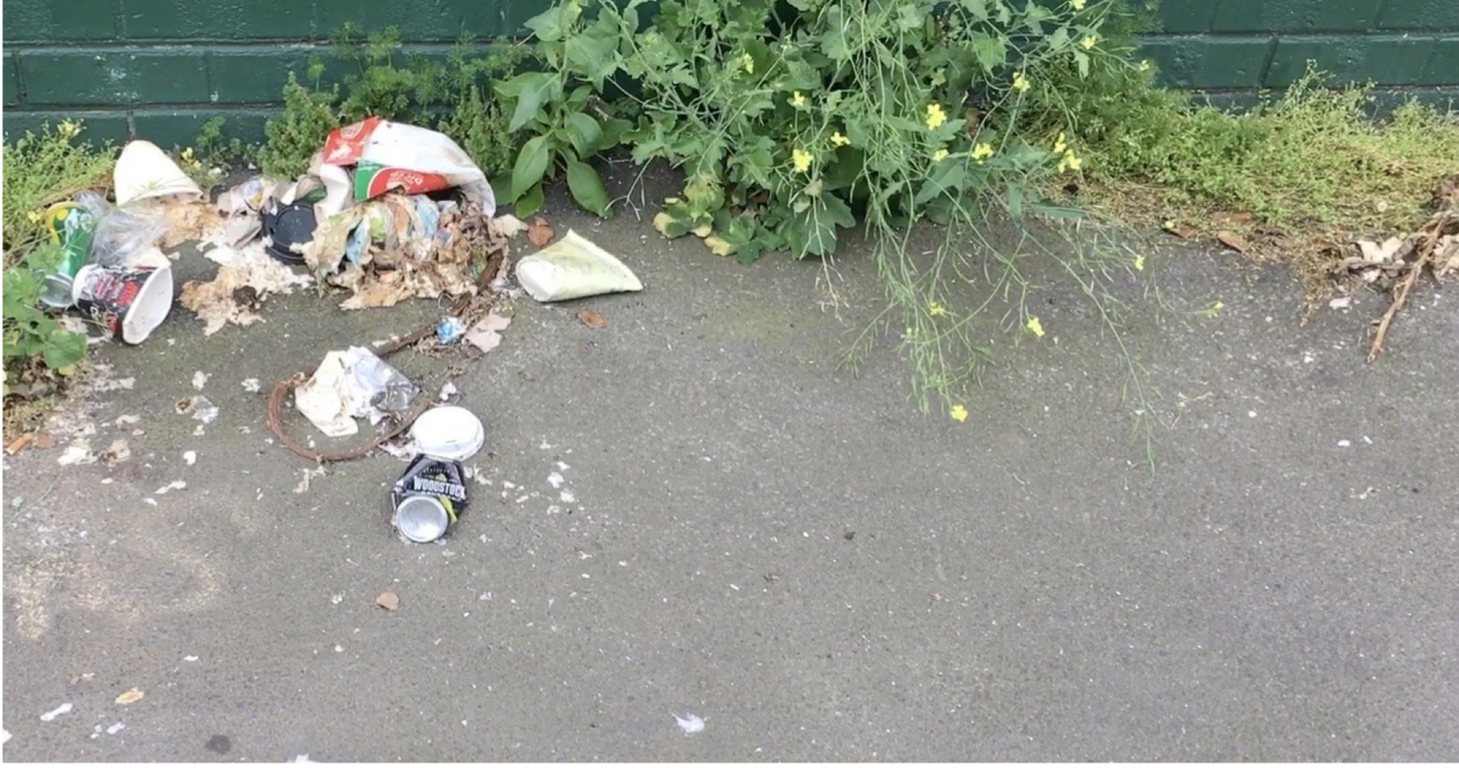 Hi-Viz 2020: this time around by Bec Fary