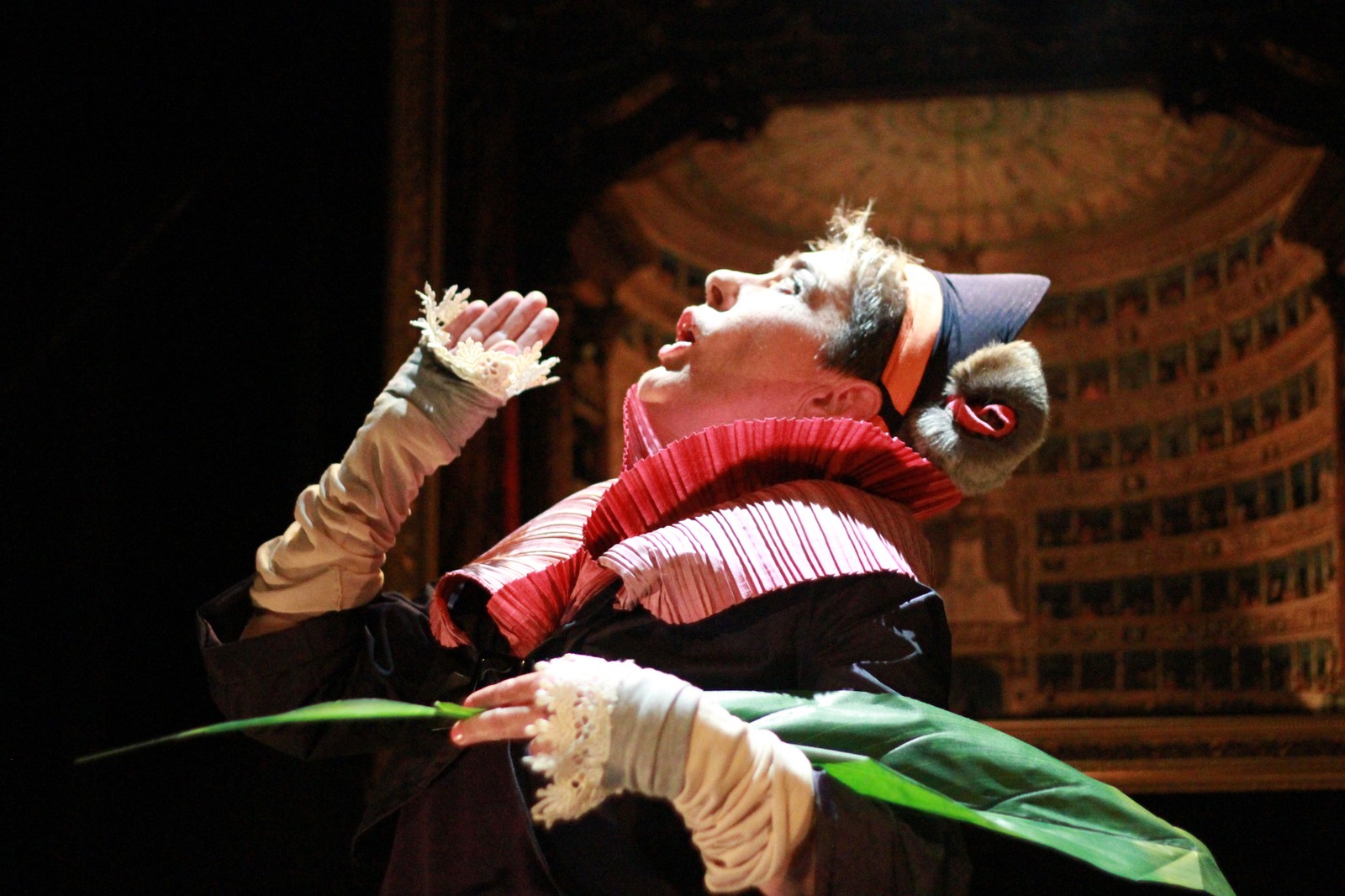 Opera for a Small Mammal (Gallery)