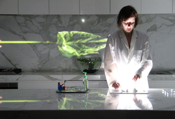 Ophelia Doesn't Live Here Anymore