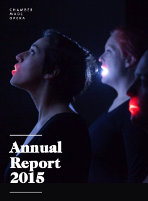 Chamber Made Annual Report 2015