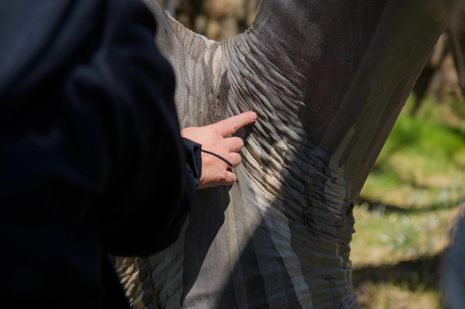 Hi-Viz Satellites LAB 2024 (Gallery)