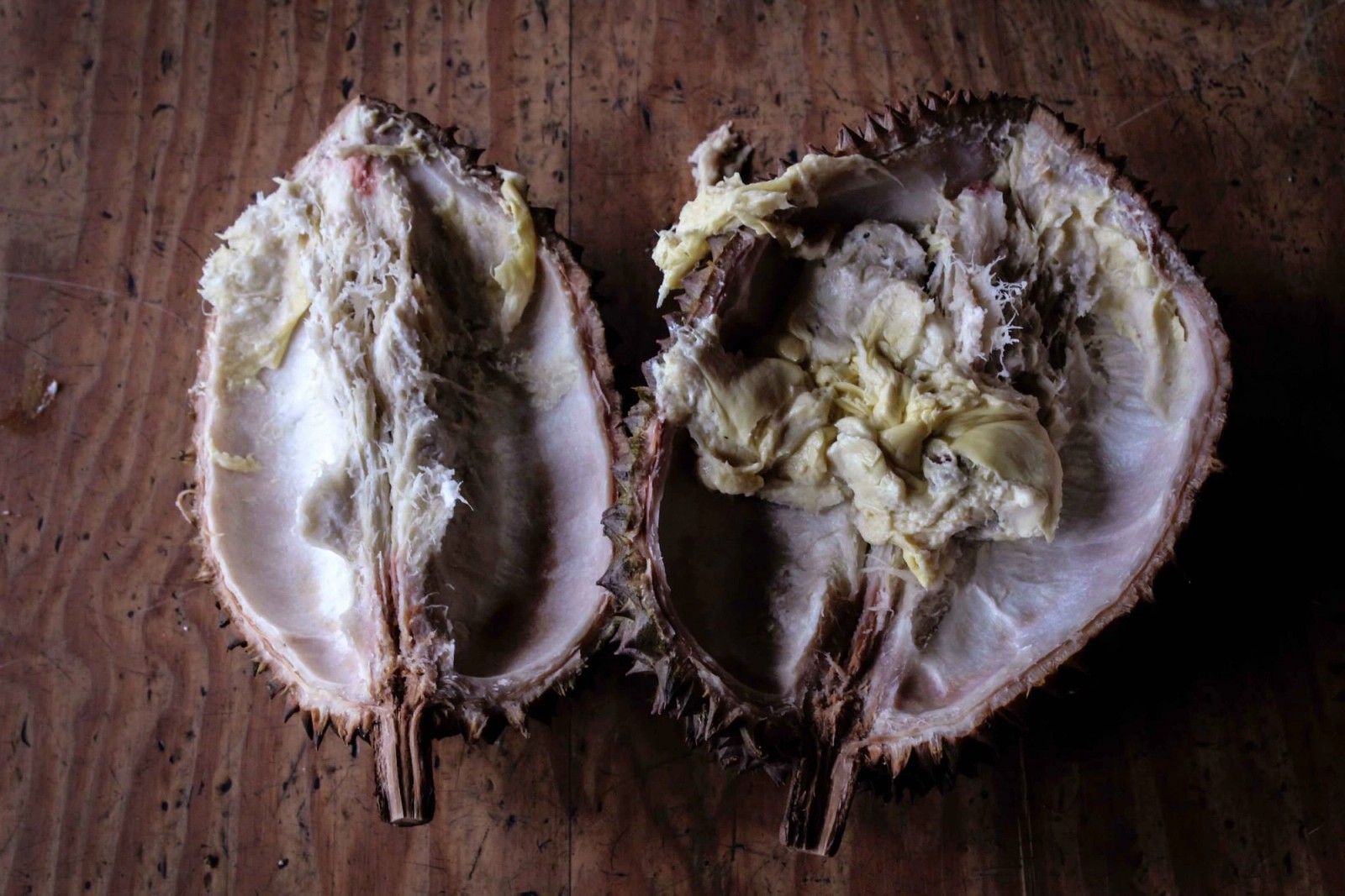 Episode 6: Hades (Gallery)