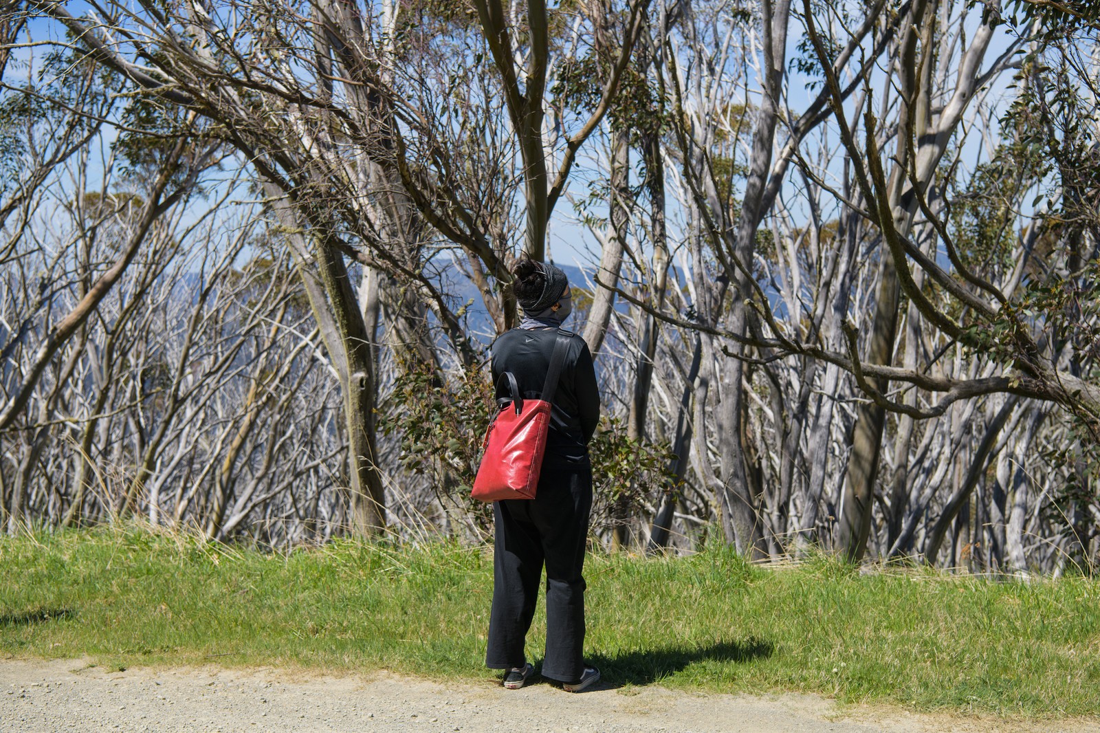 Hi-Viz Satellites LAB 2024 (Gallery)