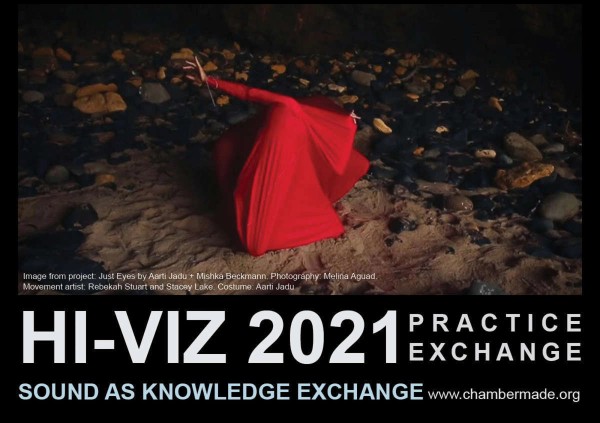 Hi-Viz 2021: an alterspace for doing by Gail Priest