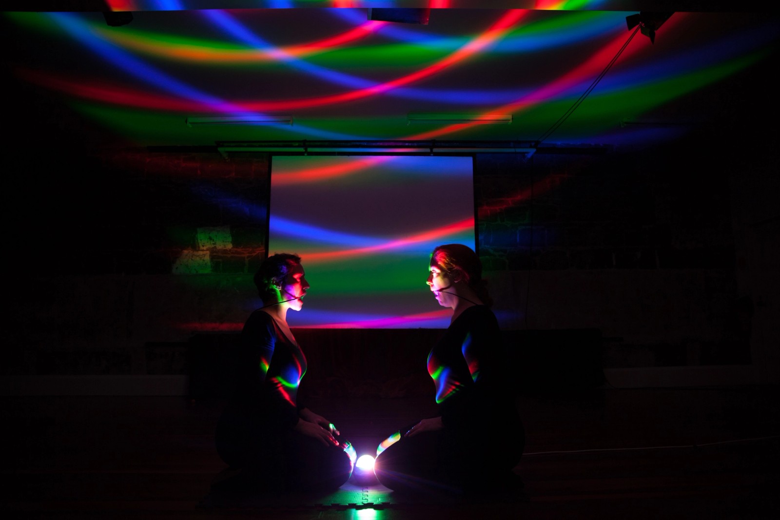 The Perfect Human (Gallery)