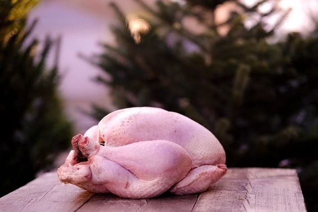 Free-range turkey