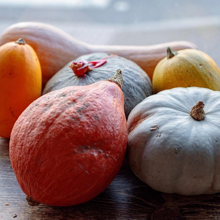 Seasonal squash from Natoora