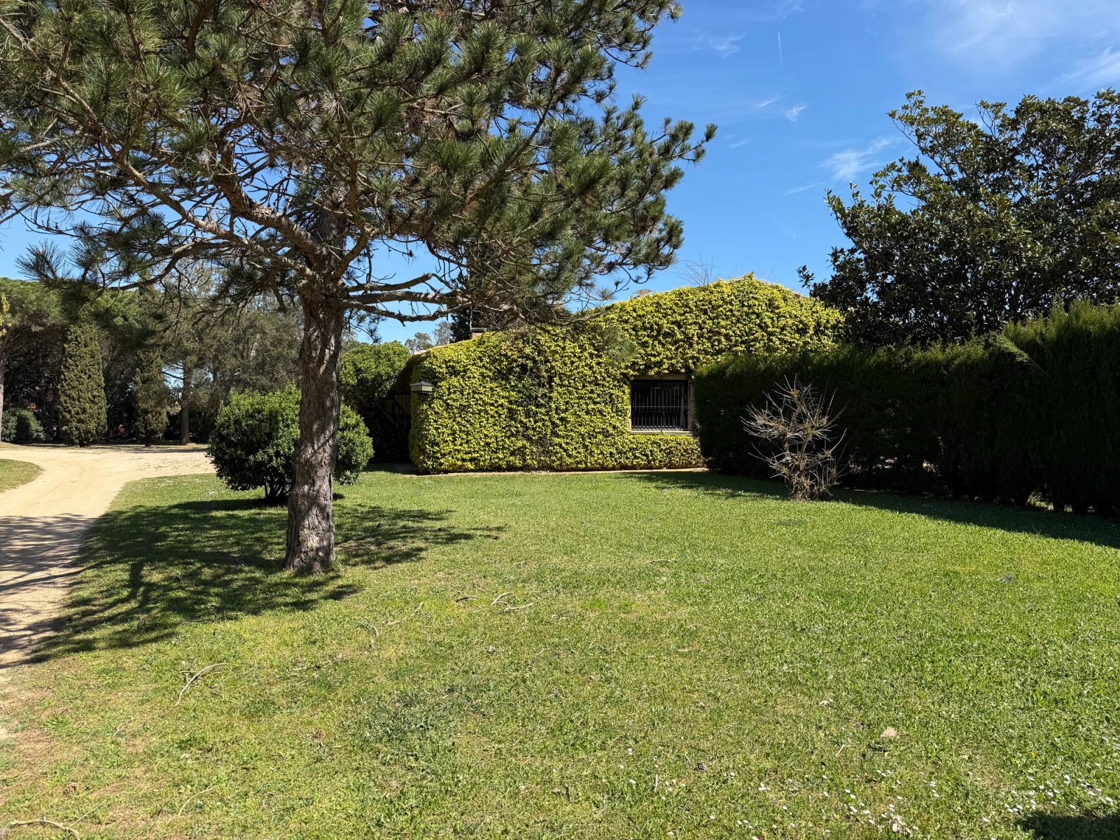 Villa de 6 dormitorios, 6 baños y 1613m² en venta en Mont-ras - foto 24 de 31