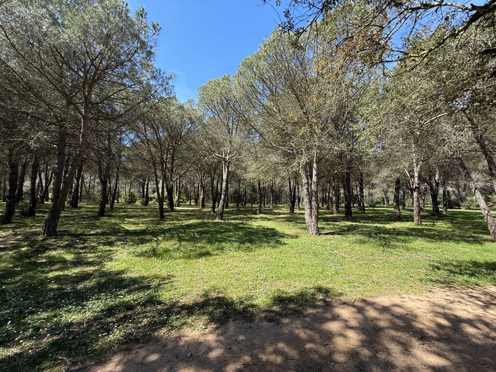 Villa de 6 dormitorios, 6 baños y 1613m² en venta en Mont-ras - foto 23 de 31