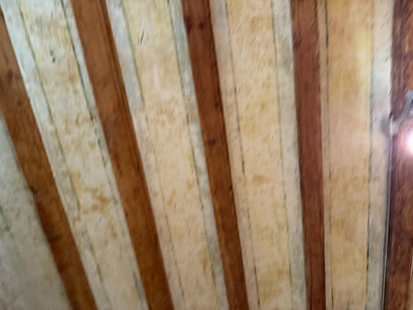 Estudio de 1 dormitorios, 1 baños y 75m² en venta en Barrio Gótico, Barcelona - foto 16 de 23