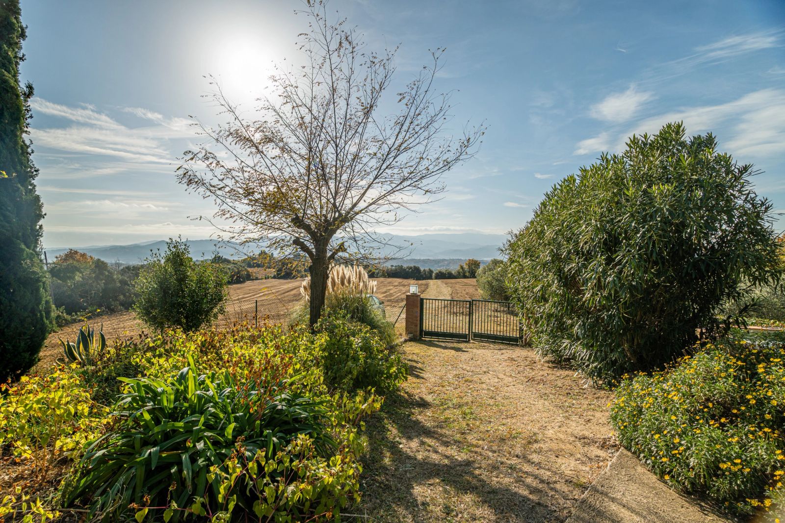 Casa de 3 dormitorios, 2 baños y 274m² en venta en Massanas, Massanas - foto 8 de 80
