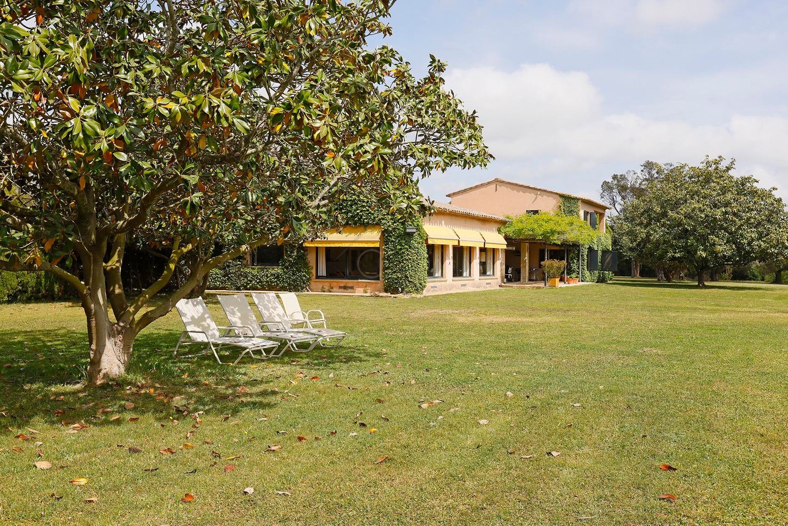 6-bedroom, 6-bathroom 1613m² villa for sale in Mont-Ras, Mont-ras - photo 28 of 35