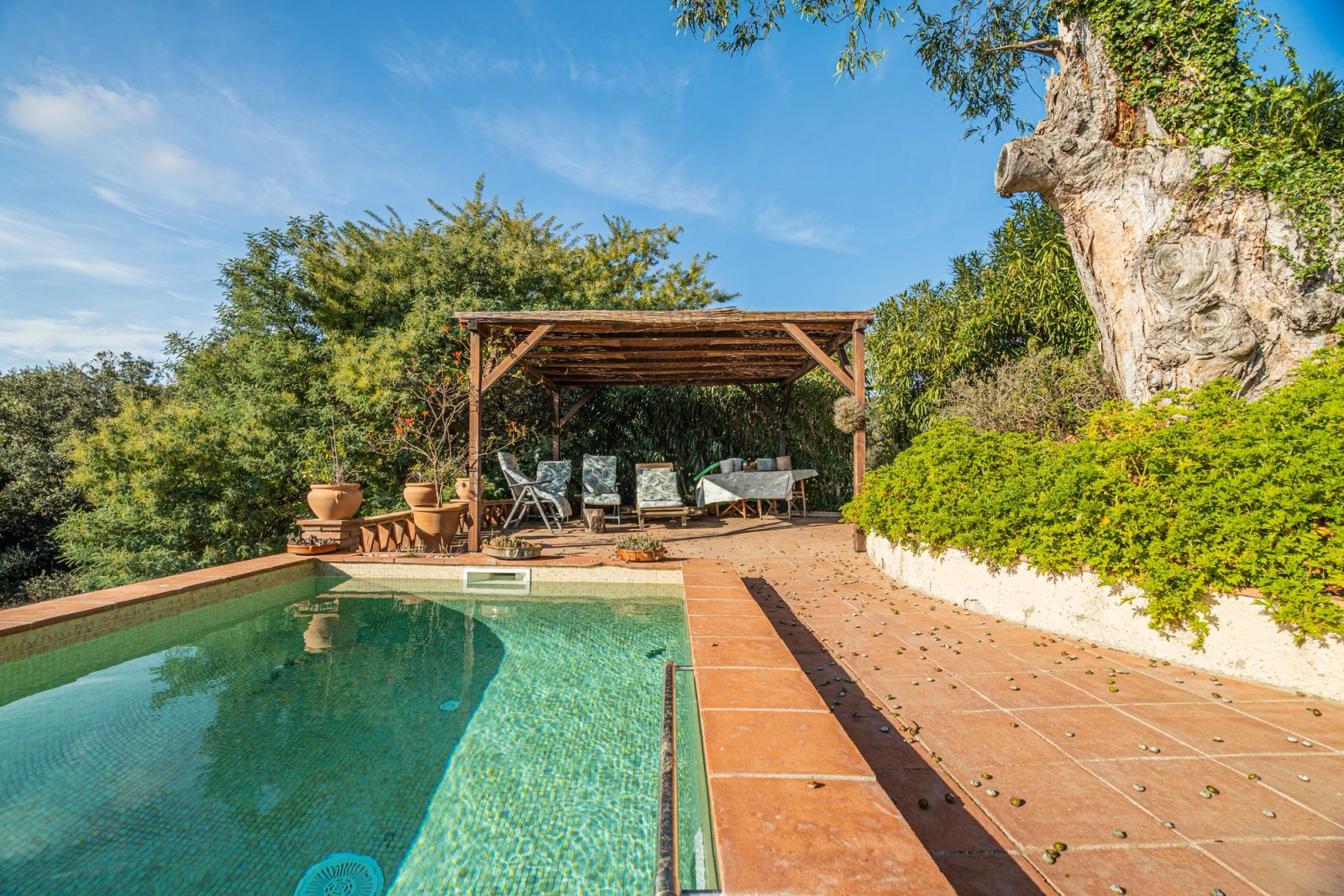 Casa de 3 dormitorios, 2 baños y 274m² en venta en Massanas, Massanas - foto 17 de 80