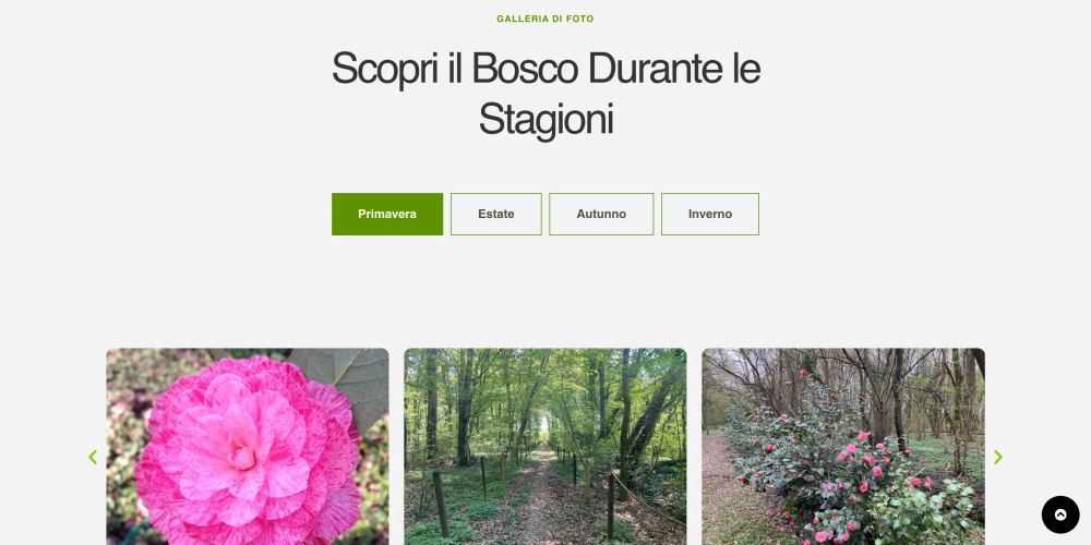 La galleria del bosco divisa per stagioni