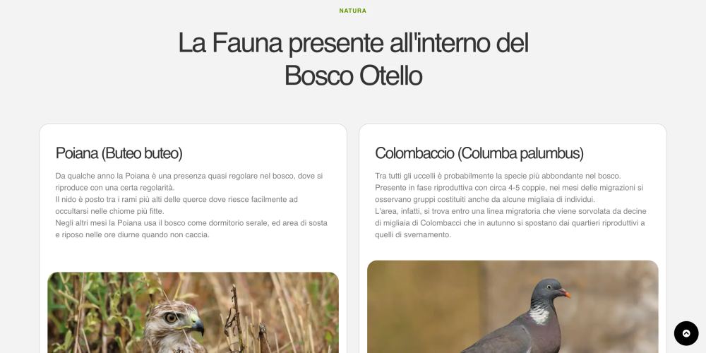 Le schede della fauna presente nel bosco