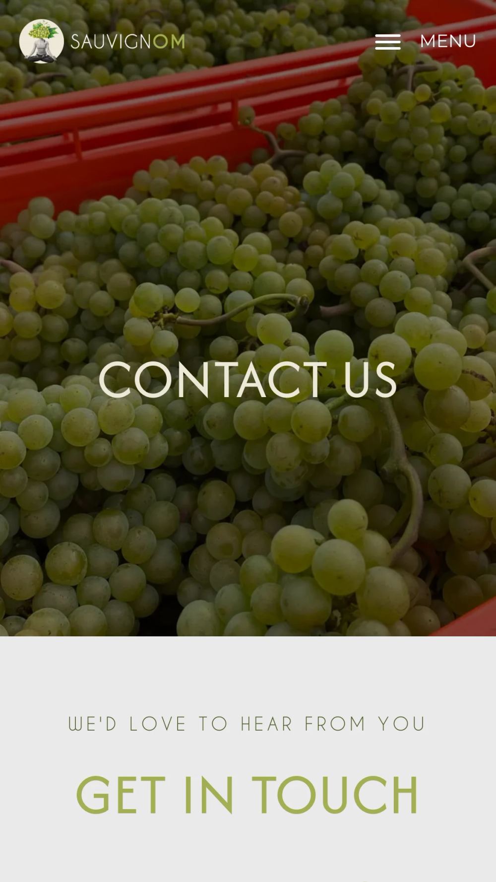 La pagina Contact su mobile