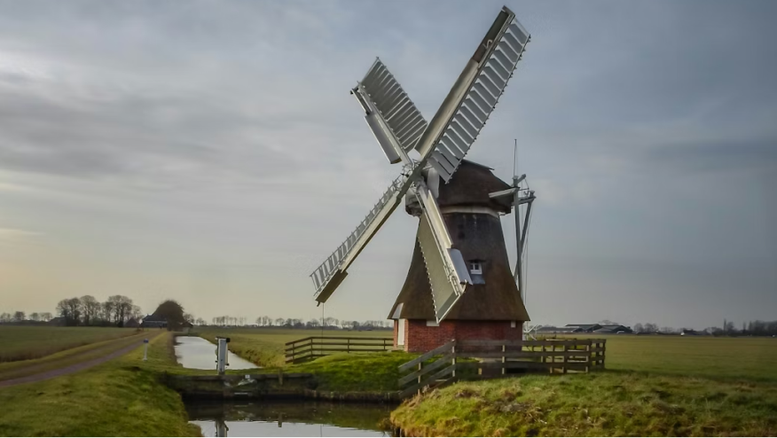 Why the Dutch WHOA didn’t deliver the boom many expected