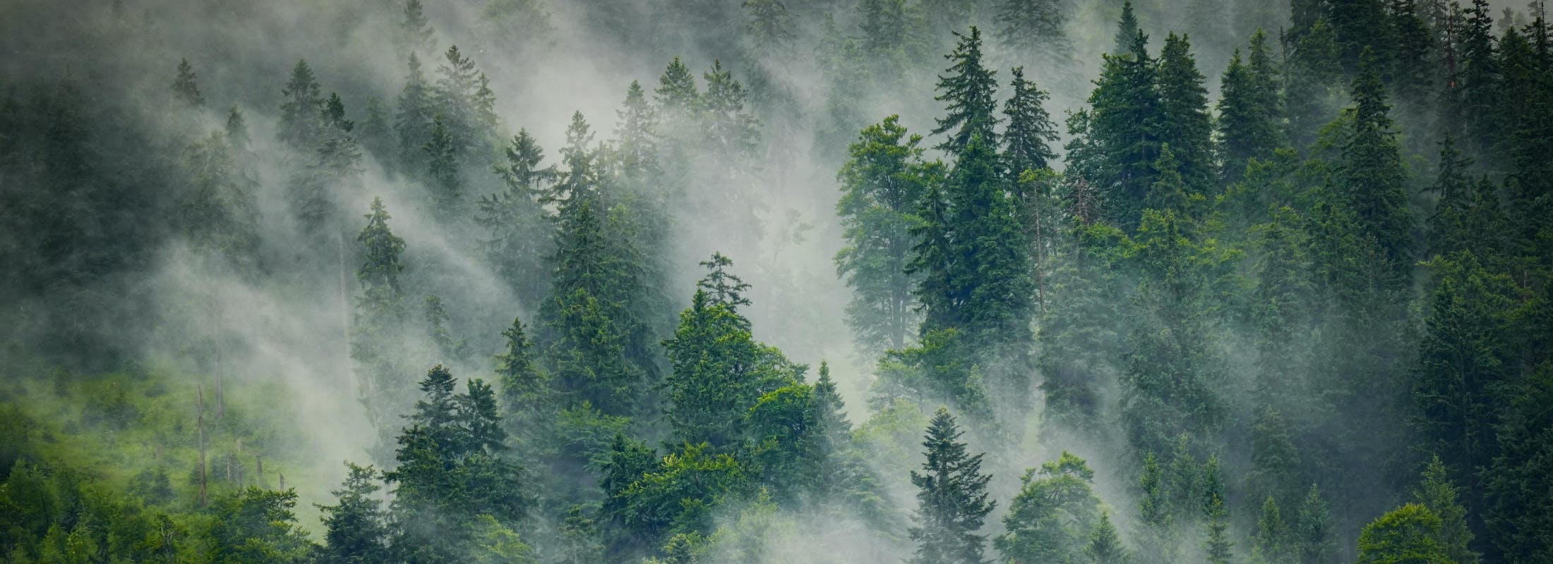 Sustainable Junk — GSSS issuance plateaus, transition telegraphed for 2026, LatAm market Q&A