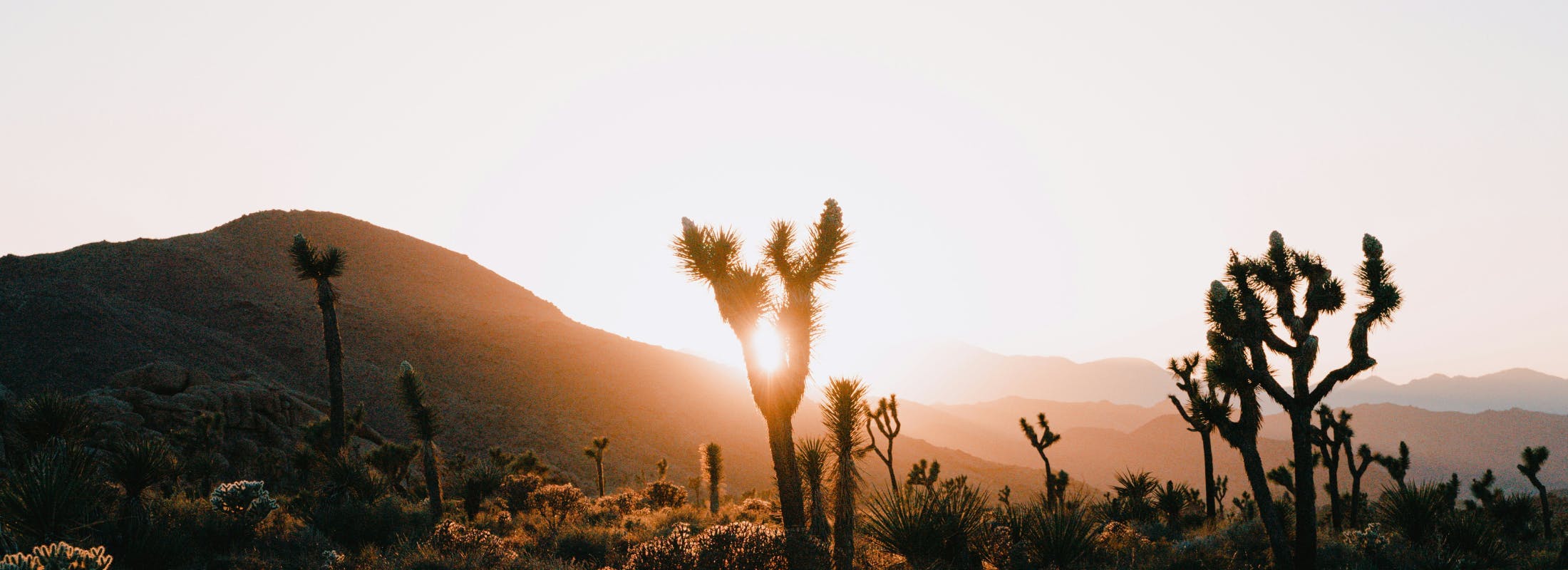 CLOs and ABS receive signs of interest at winter pension summit