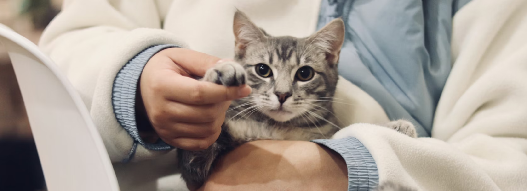 CMA investigation, sales decline hang over IVC debt extension