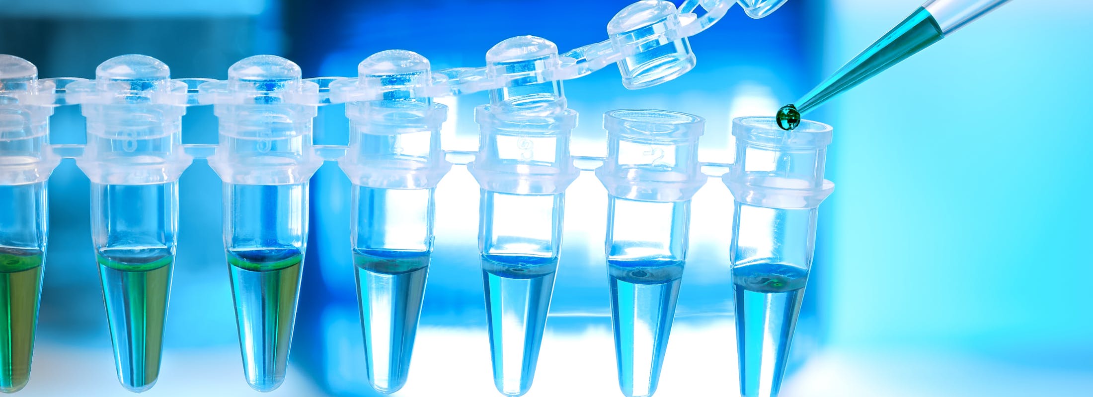 grifols-debt-rallies-private-ownership-transfusion