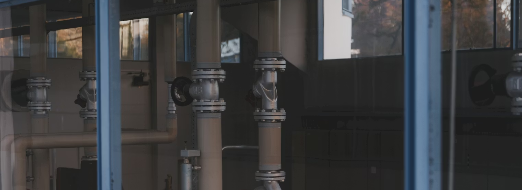 Rabobank among lead banks in DSM carve out