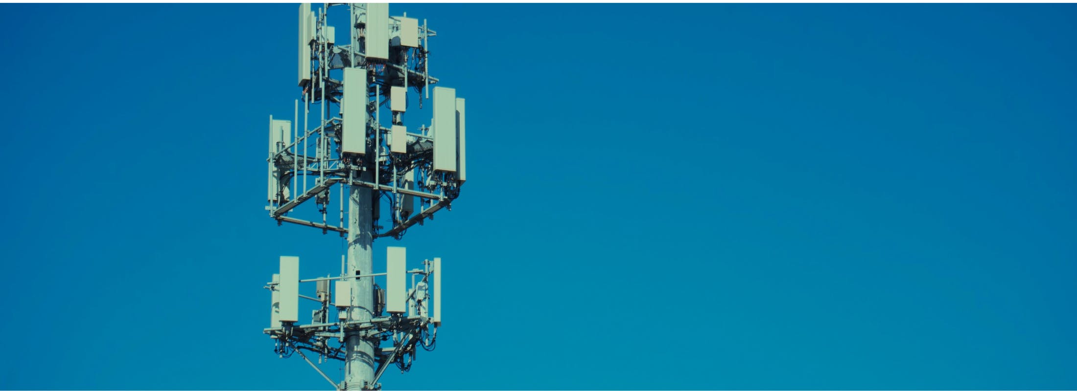 How Optimum's antitrust case differs from Selecta