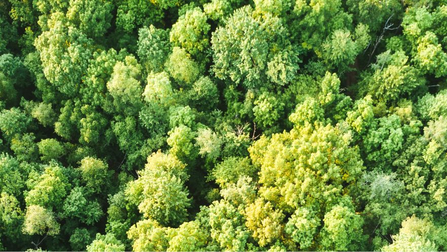 Amundi strives to keep Europe’s green ABS dreams alive