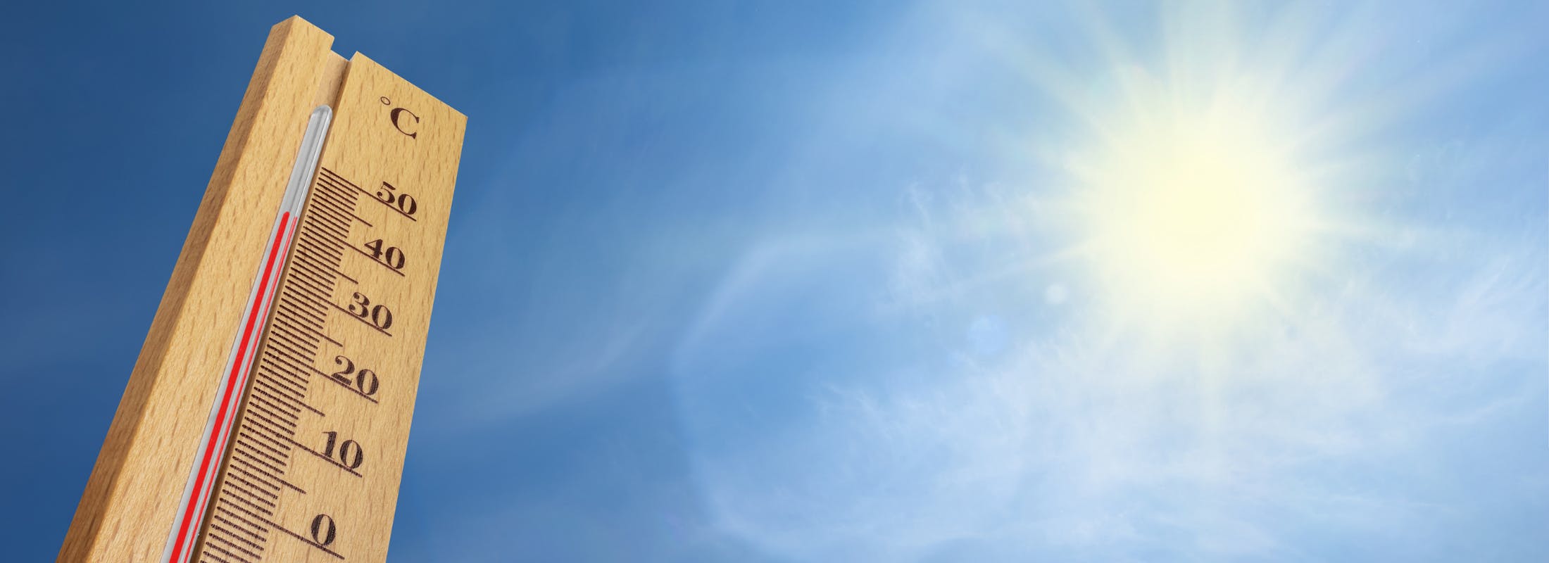 insights hero