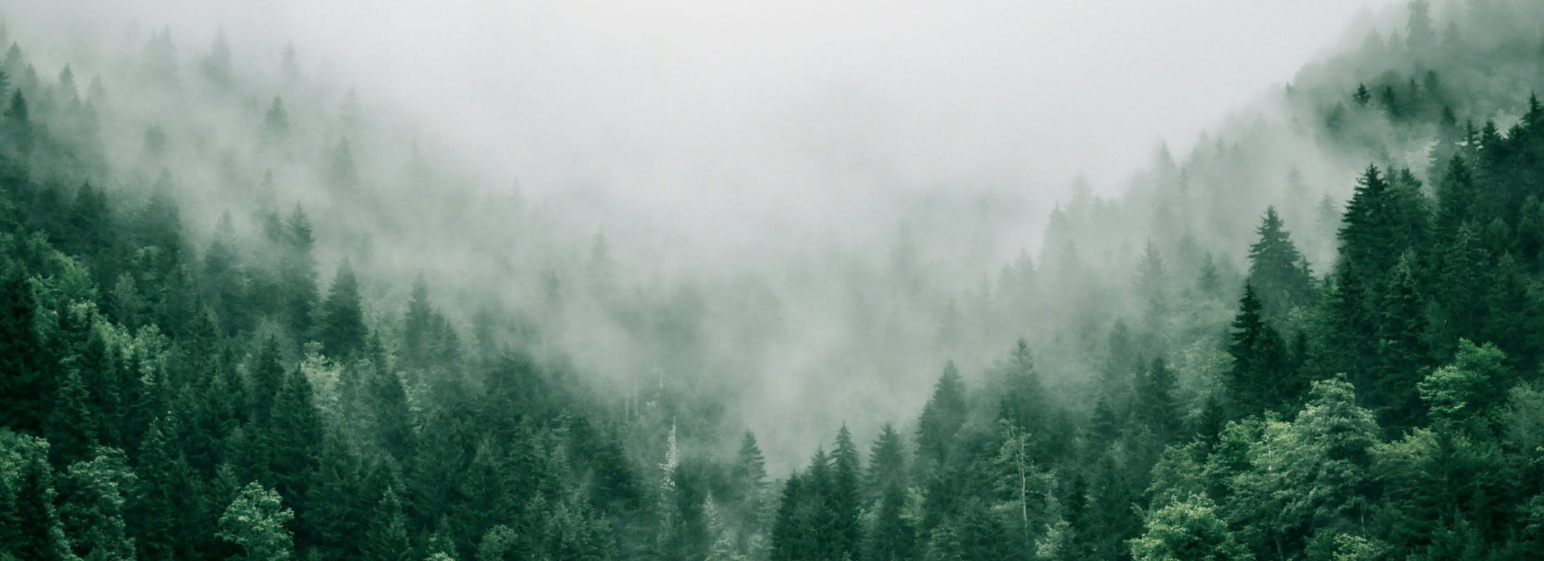 How does the Greenland dispute impact European credit?