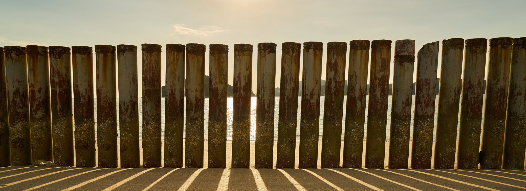 9Questions — Cecile Retaureau, Phoenix Group — On the other side of the fence