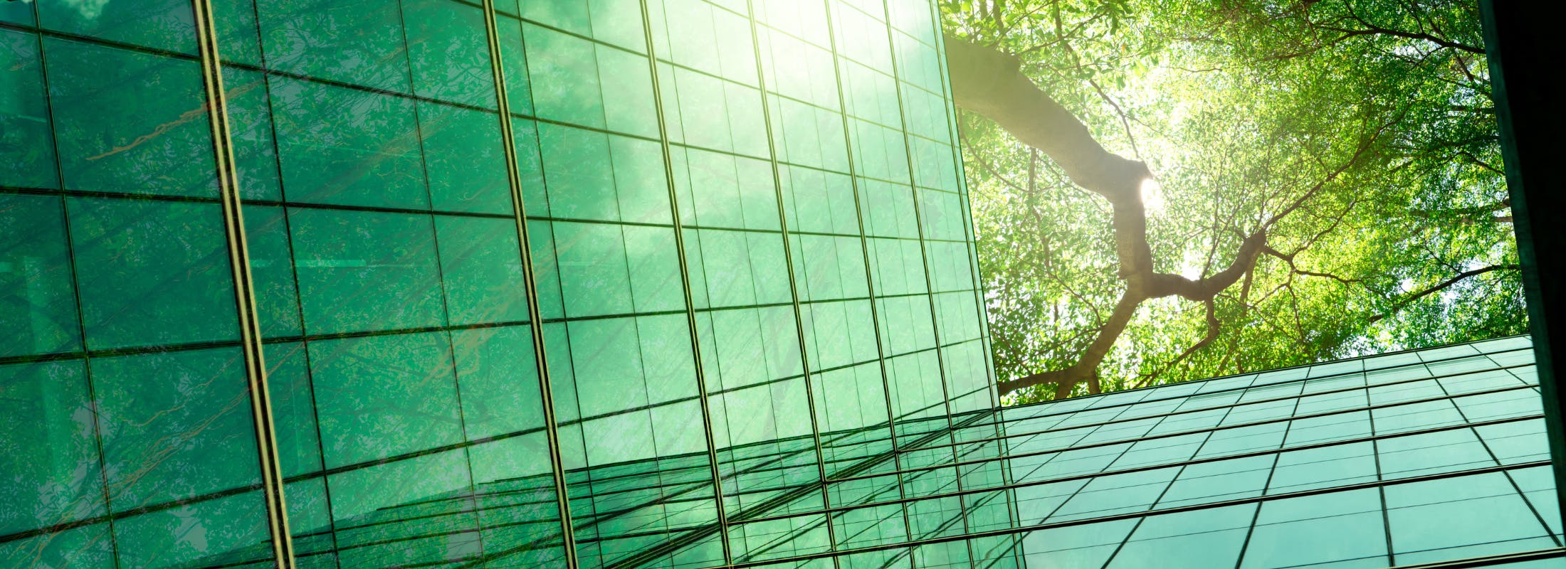 9Questions — Fiona Hagdrup and James Frankland, M&G — State of ESG in LevFin