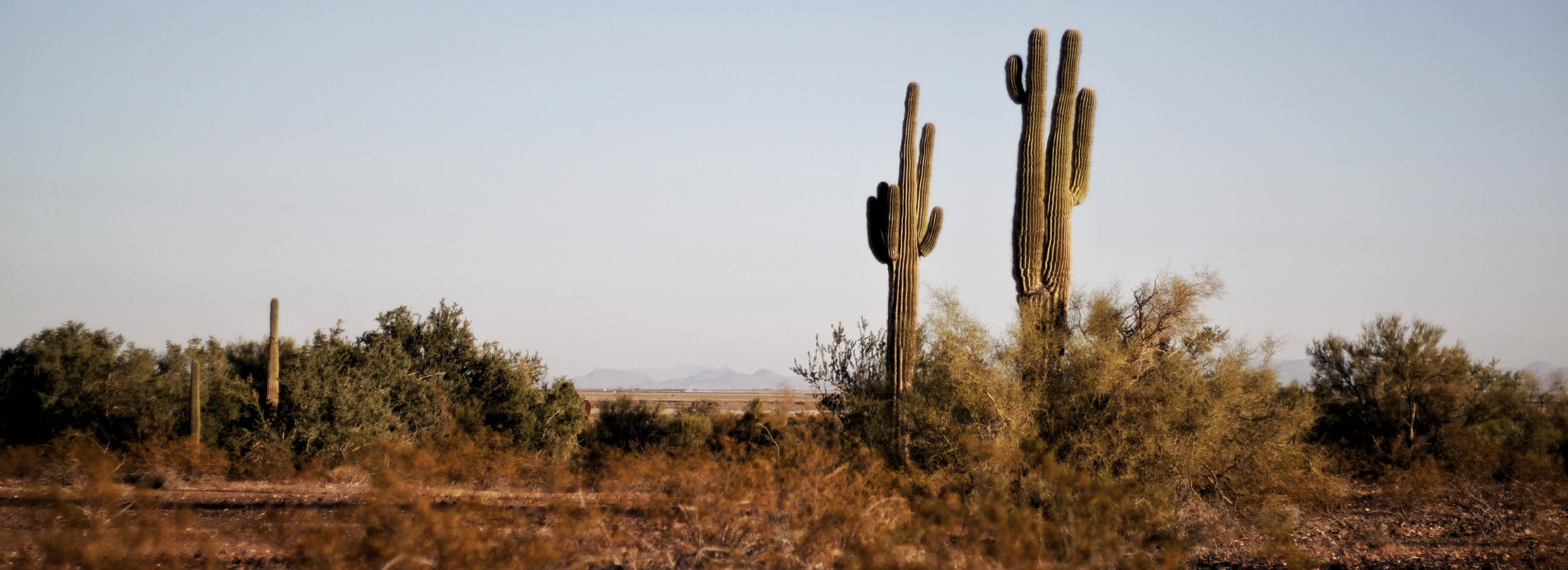 texas-bankruptcy-popularity-judge-jones