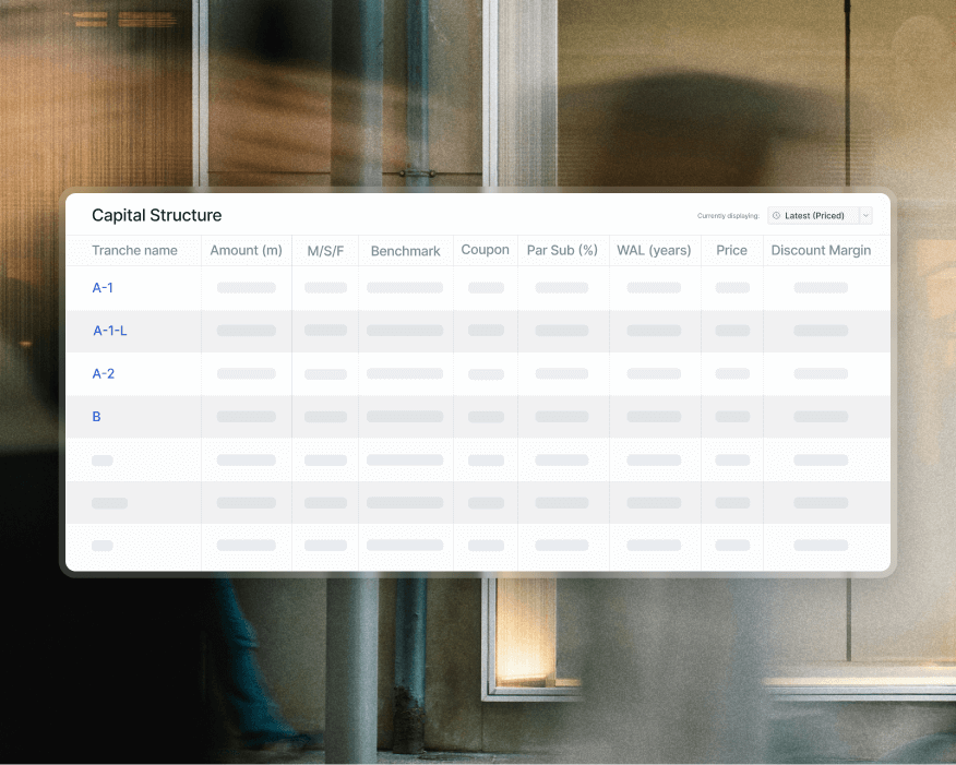 capital structure report